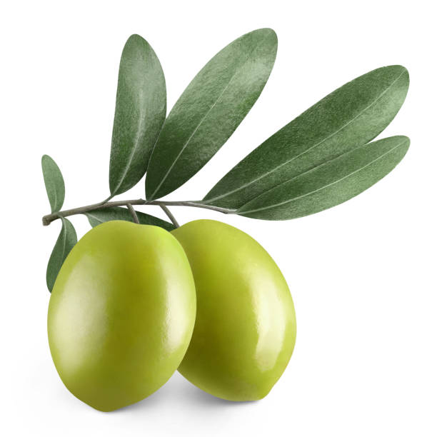 istock Ripe green olives with leaves on white 1449588986