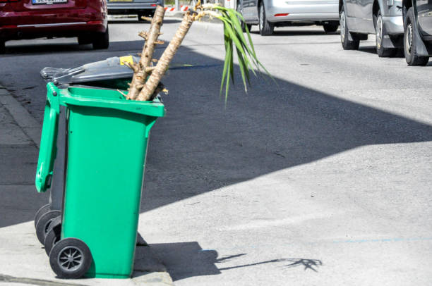 istock bio-waste container with plants on a street 1449590780
