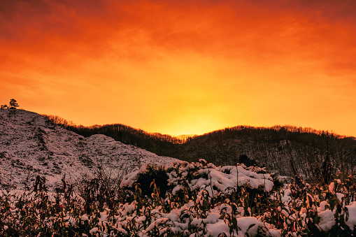 A winter sunset creates an idyllic color palette in the sky among the snowy hills of Umbria, in central Italy. The Umbria region, considered the green lung of Italy for its wooded mountains, is characterized by a perfect integration between nature and the presence of man, in a context of environmental sustainability and healthy life. In addition to its immense artistic and historical heritage, Umbria is famous for its food and wine production and for the high quality of the olive oil produced in these lands. Image in 16:9 ratio and high definition quality.