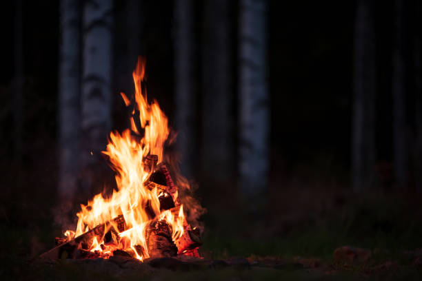 Burning campfire on a dark night in a forest stock photo