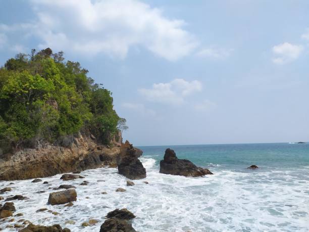 istock Sighting of Waves on a Beautiful Beach 1449593159