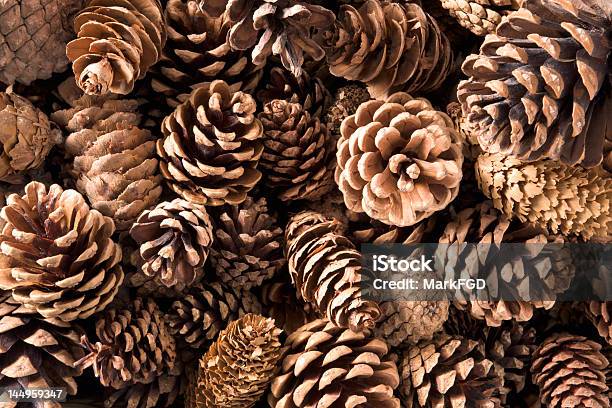 Pinecones Primer Plano Foto de stock y más banco de imágenes de Piña de piñones - Piña de piñones, Celebración - Ocasión especial, Con textura