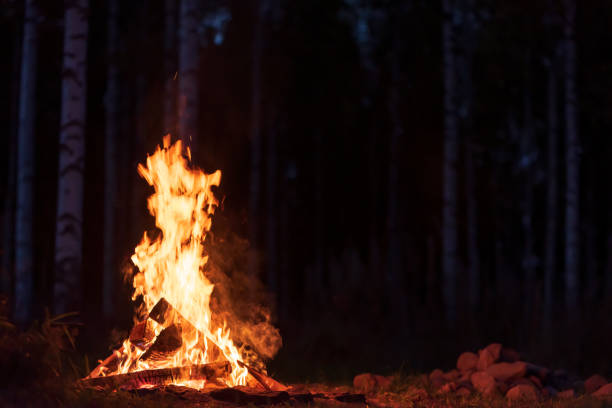 istock Burning campfire on a dark night in a forest 1449594354
