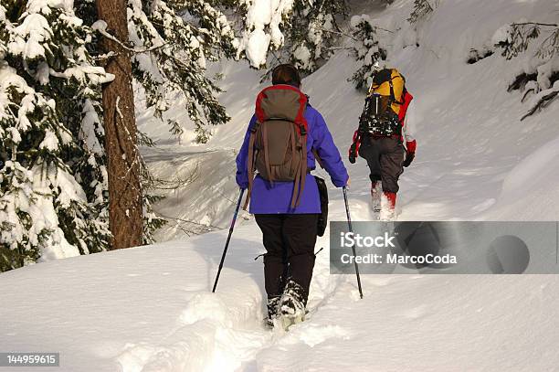 Winter Trekking 2 Stockfoto und mehr Bilder von Abenteuer - Abenteuer, Baum, Beleuchtet