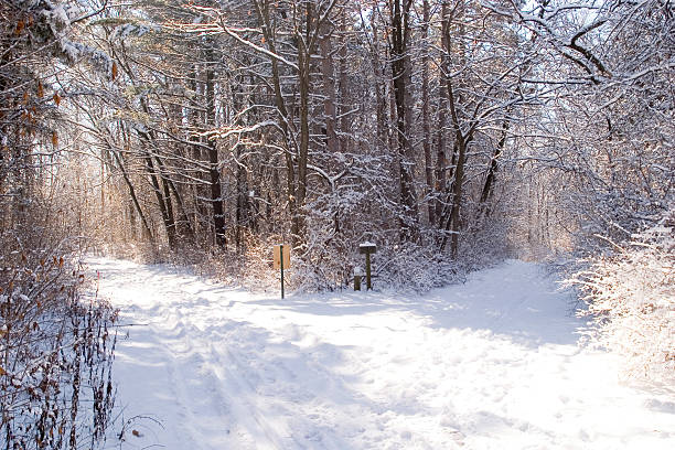 Cadillac Trail, Acadia National Park In The Winter