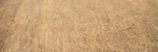 istock closeup of handmade bark paper 1449598384
