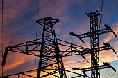 Electricity pylon (high voltage power line), black contour,  against the background of a romantic evening sky