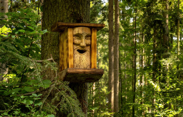 Nest box on a tree trunk in the forest, designed with the carved face of an old man with beard