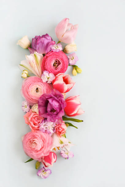 istock Natural composition of fresh flowers 1449606127