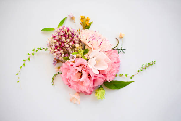 istock Natural composition of fresh flowers 1449606152