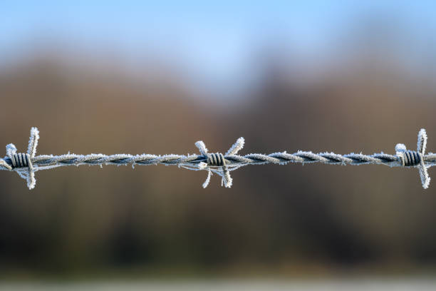 congelarse alambre de espino - winter wire barbed wire protection fotografías e imágenes de stock