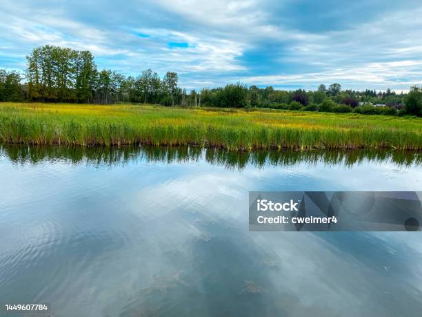 Calm Alaska Lake With Reflection Stock Photo - Download Image Now - Lake, Sky, Pond