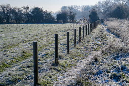 Winter scenic landscape with snow and frost