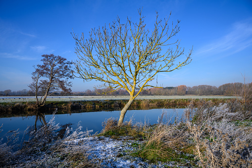 Winter scenic frosty landscape by the river Avon in England