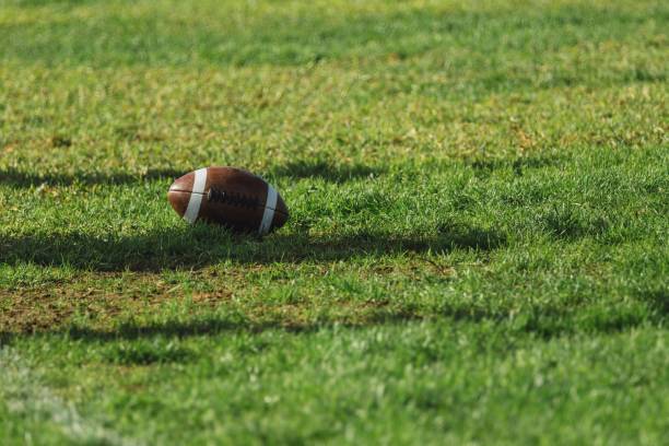 istock Gridiron ball, also called a pigskin, on the green grass. 1449608488
