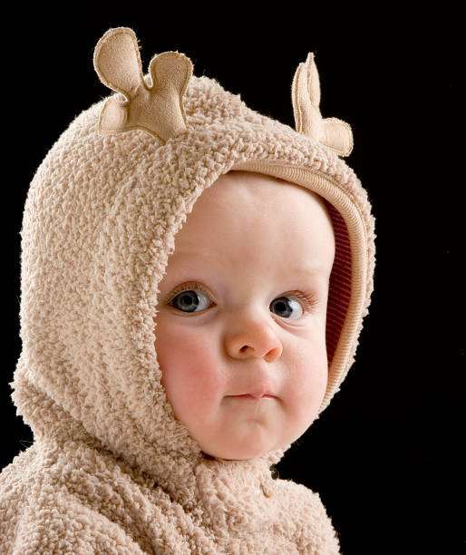 Baby Reindeer stock photo