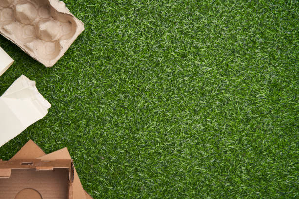 istock Paper collected for recycling on green grass background. 1449614395
