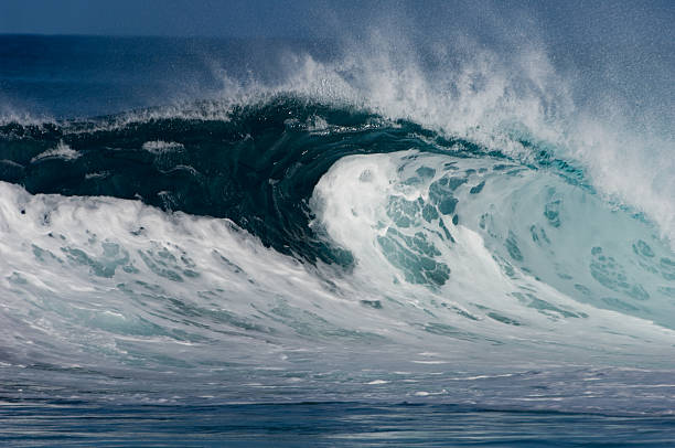 istock Backdoor Tube Wave in Oahu 144961462