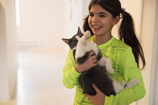 Middle eastern little girl holding cat in corridor at home. Young girls is dressed in soccer attire and is 9 year’s old. Kitten is 4 month’s old. Horizontal waist up indoors shot with copy space. This was taken in Montreal, Quebec, Canada.