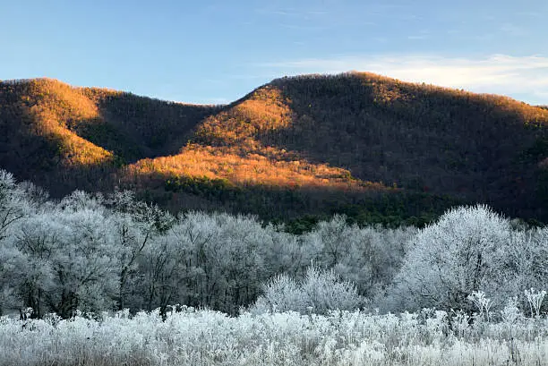 Photo of Frosty Morning