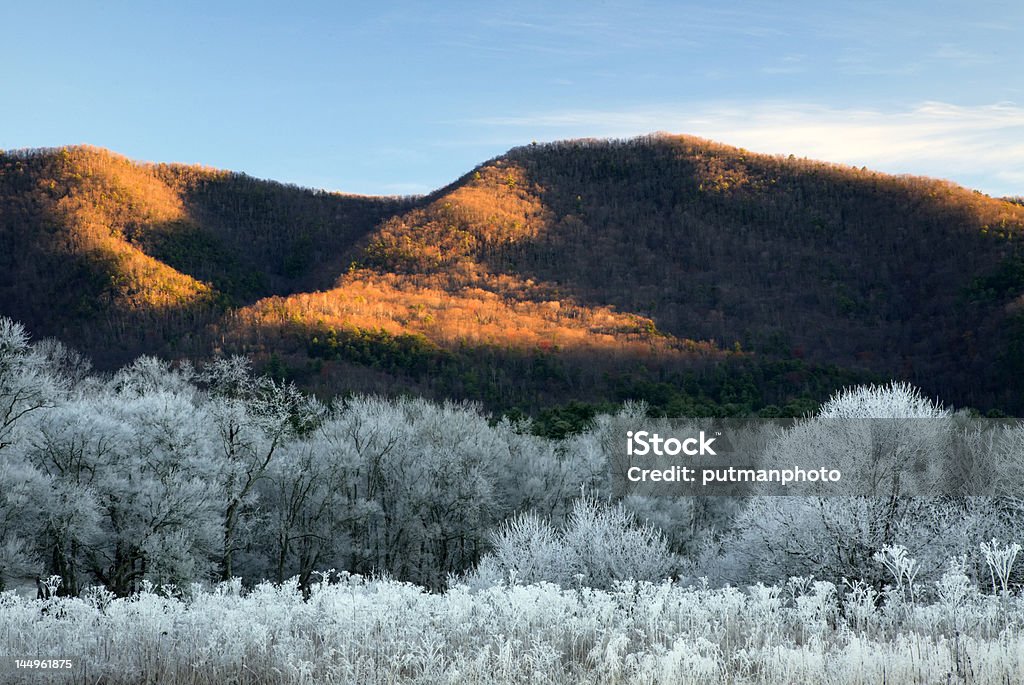 Neve pela manhã - Foto de stock de Inverno royalty-free