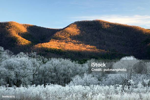 Foto de Neve Pela Manhã e mais fotos de stock de Inverno - Inverno, Montanhas Great Smoky, Parque Nacional das Great Smoky Mountains
