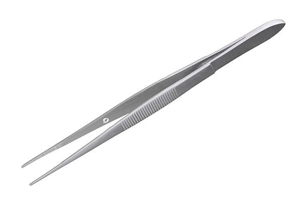 Forceps on white stock photo