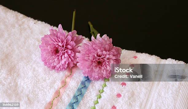 고급 핑크 0명에 대한 스톡 사진 및 기타 이미지 - 0명, 가정의 방, 꽃-식물