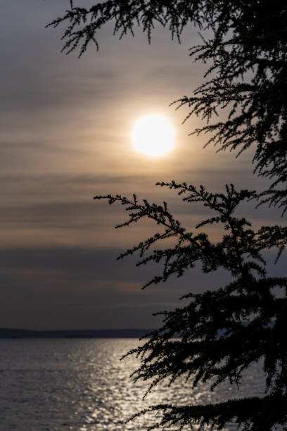 пьюджет-саунд осенний закат - water tranquil scene puget sound cloudscape стоковые фото и изображения