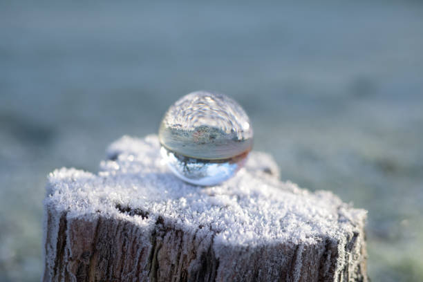 A crystal ball sitting on a snow covered tree stump reflecting the surrounding landscape scene upside down