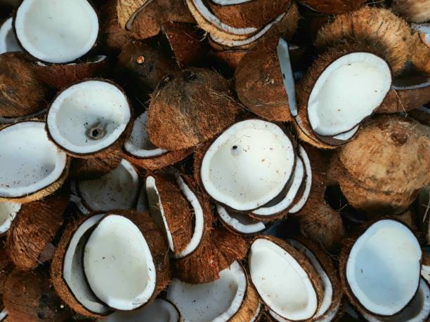 istock coconut that has been peeled and split in half, ready to be processed into oil or processed into copra 1449624714