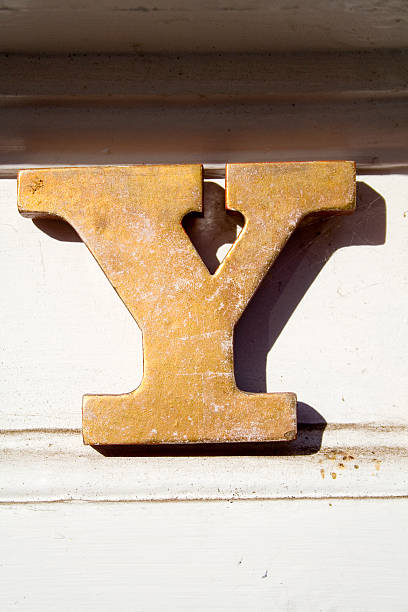 istock Alphabet Series Letter Y 144962515