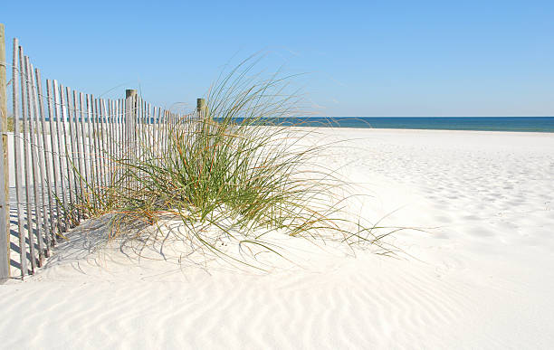 dune di sabbia - sand beach sand dune sea oat grass foto e immagini stock