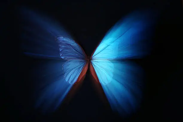 Photo of Beautiful butterfly blue abstract with zoom effect