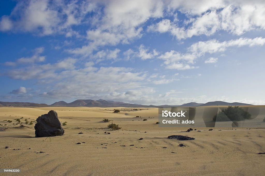 Wüste Fuerteventura V - Lizenzfrei Afrika Stock-Foto