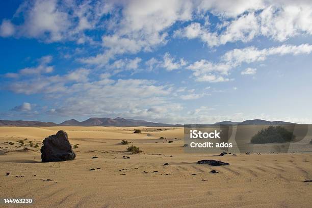 Deserto Fuerteventura V - Fotografias de stock e mais imagens de Abandonado - Abandonado, Acima, Animal