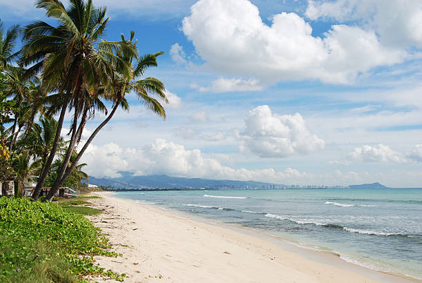 istock White beach with palm trees and a blue sky 144963390