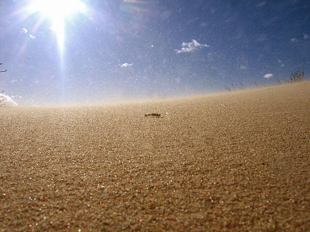 Desert stock photo