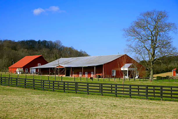 istock Tennessee Farmland 144963526