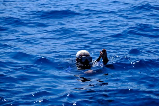 istock Illustration of the diver's ascent to the water surface while diving. 1449637832