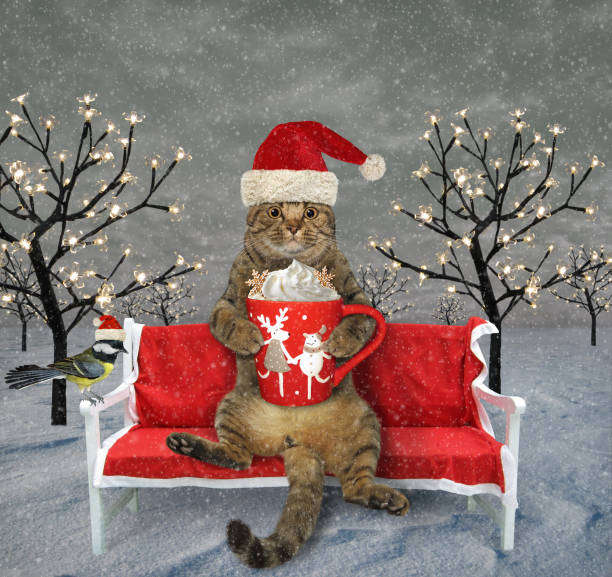 istock Cat in Santa hat with coffee on bench 1449638587