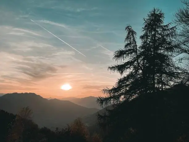 A beautiful landscape of trees in a forest and mountains with the golden sunset in the background