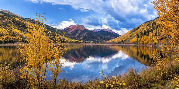 Grand Junction Colorado Fall Colors.  View of scenic cliffs with cottonwood trees in full autumn splendor.  Captured as a 14-bit Raw file. Edited in ProPhoto RGB color space.