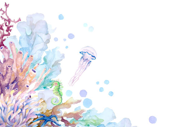 угловая рама. коралловый риф. экзотическая тропическая подводная жизнь композиции из красочных водорослей, кораллов, медуз, морских конько - wildlife aquatic beauty in nature tropical climate stock illustrations