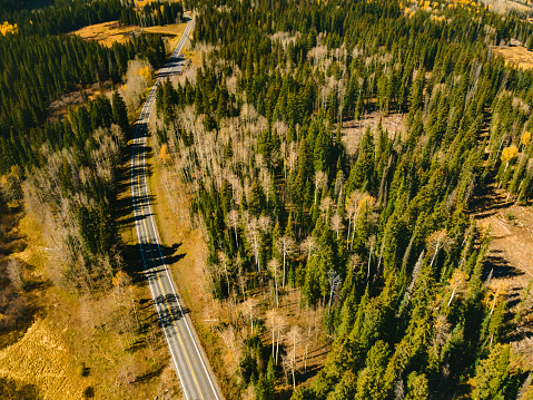 Colorful Trees and Forestation, Roads and Lakes in Western Colorado Grand Mesa National Forest Autumn Scenery on a Sunny October Day Budget Vacation Aerial Roadway Photo Series
