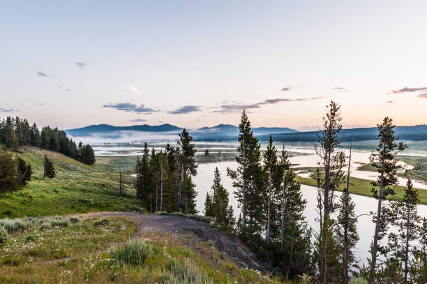 istock Yellowstone river outlook at Hayden Valley 1449641793