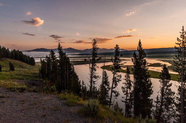 istock Yellowstone river outlook at Hayden Valley 1449641794