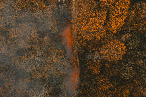 Dry leaves burn in the autumn forest. Forest fire hazard. Dry Grass sets Fire to Trees near dry Forest: Forest fires - Aerial drone shot. Wildfire: fire with smoke from the height of a bird flight.