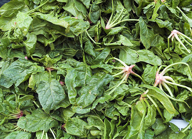 istock fresh spinach at the local market 144964275