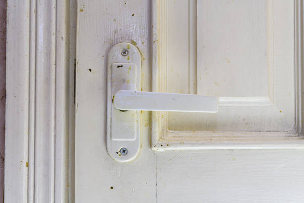 Old handle on a white wooden old door. Closeup Handles for opening and closing the door, peeling old paint